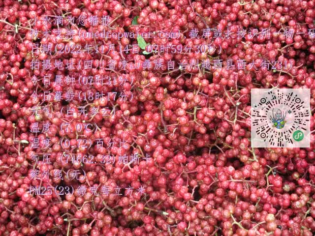 0.mp4
