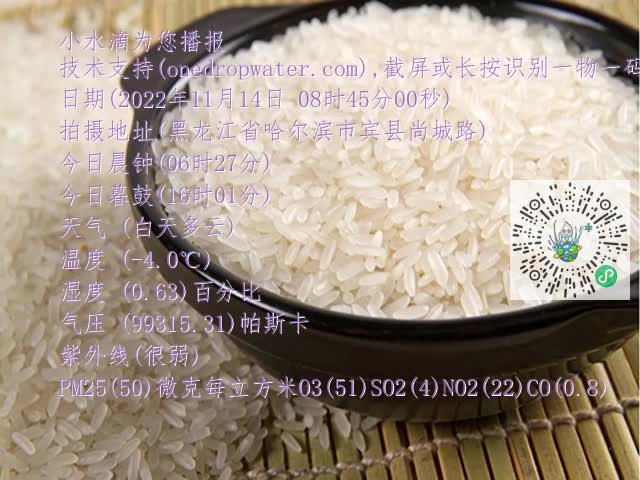 0.mp4
