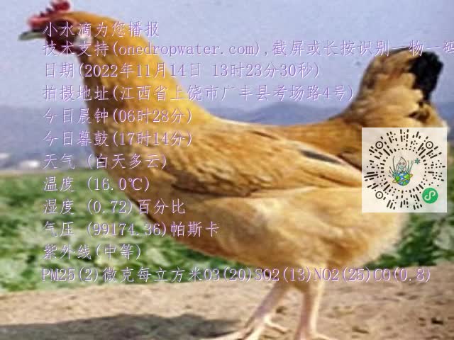 0.mp4