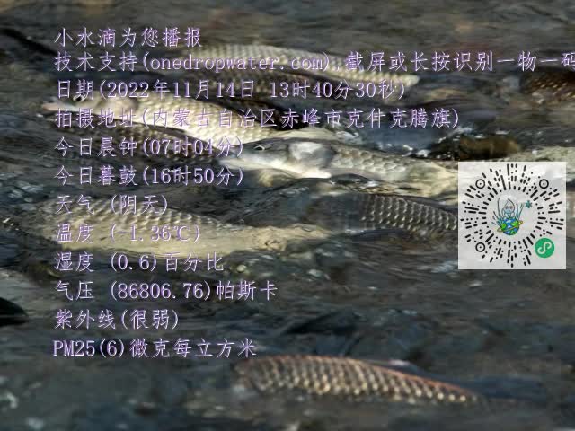 0.mp4