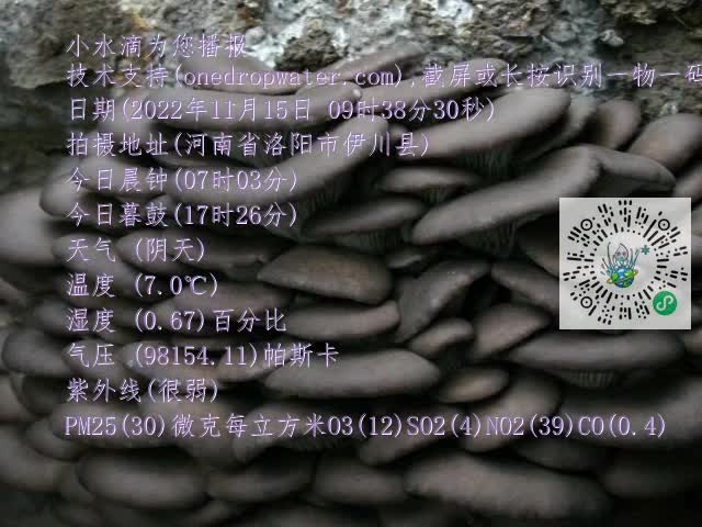 0.mp4