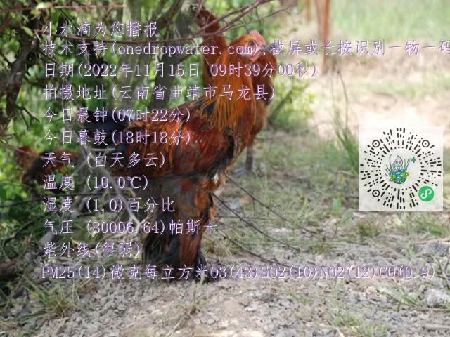 0.mp4