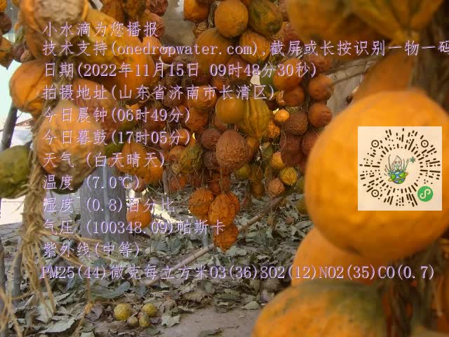 0.mp4