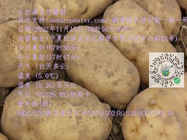 0.mp4