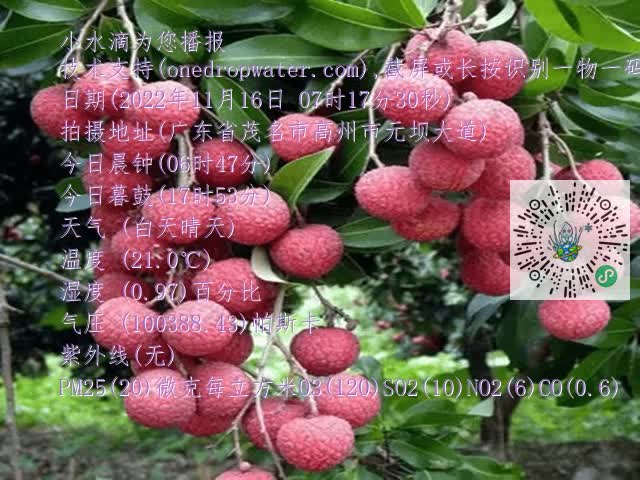 fa89a57207479821c701b64d8ff32aa6.mp4