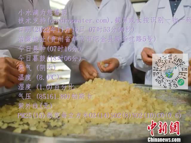 0.mp4