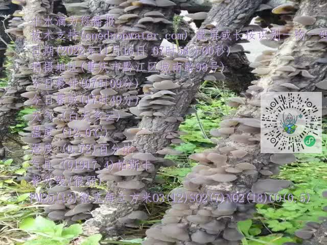 0.mp4