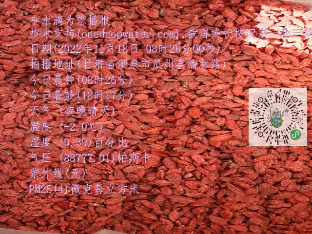 0.mp4