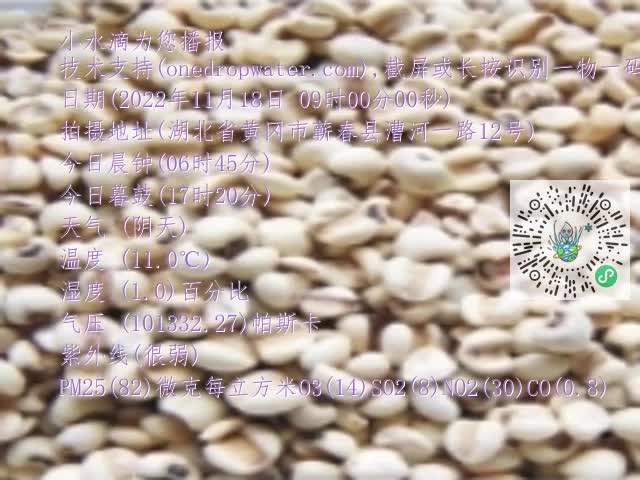 0.mp4