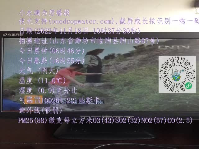 0.mp4