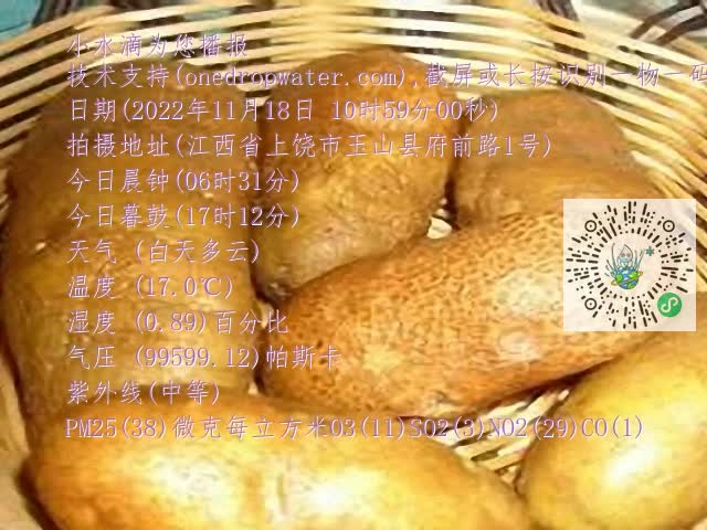 0.mp4
