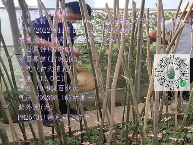 1ca5315187c7915aedcb62a0d18b756b.mp4