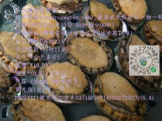 0.mp4