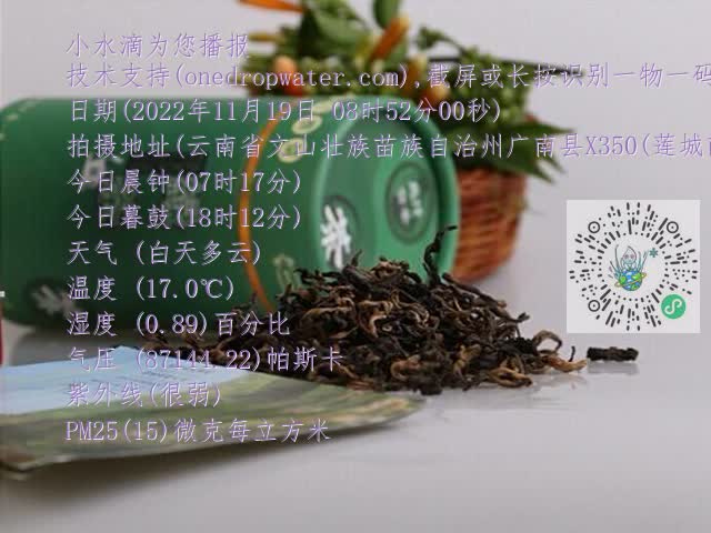 0.mp4