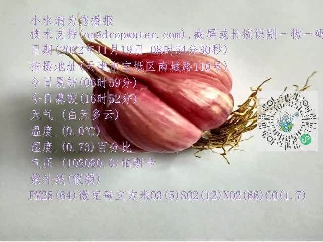 0.mp4