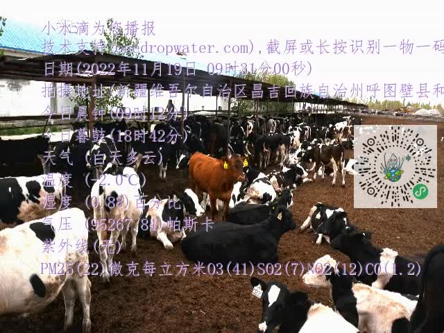 0.mp4