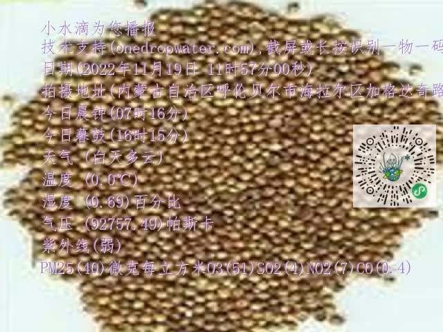 0.mp4