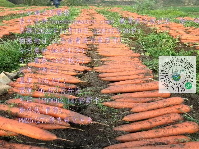 0.mp4
