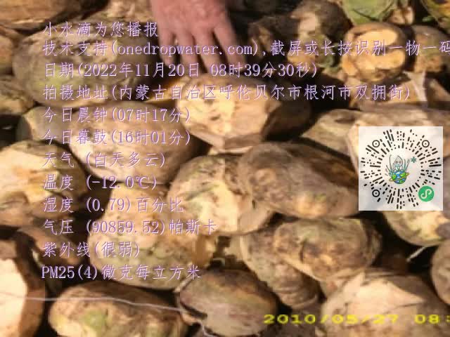 0.mp4
