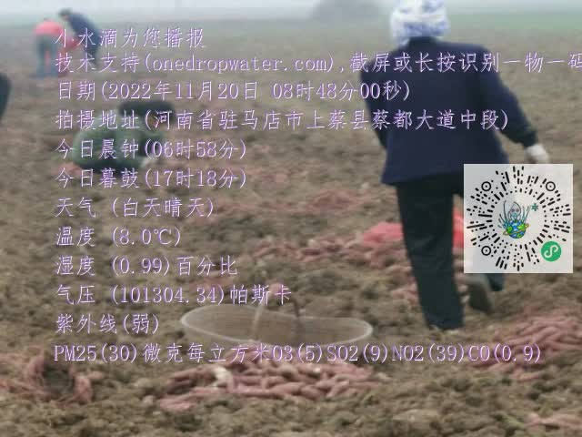 0.mp4