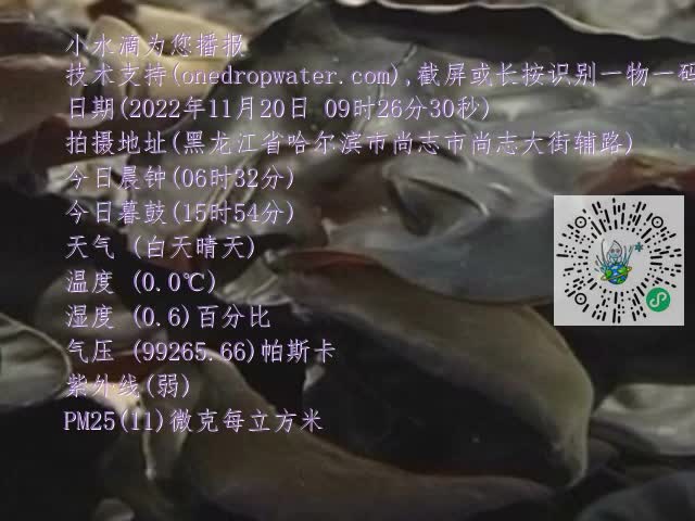 0.mp4