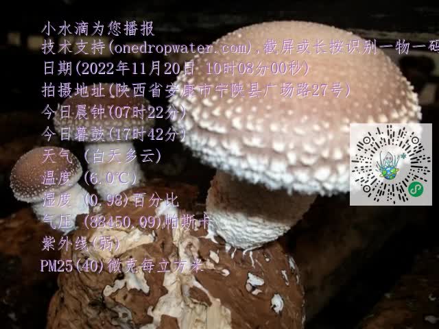 0.mp4