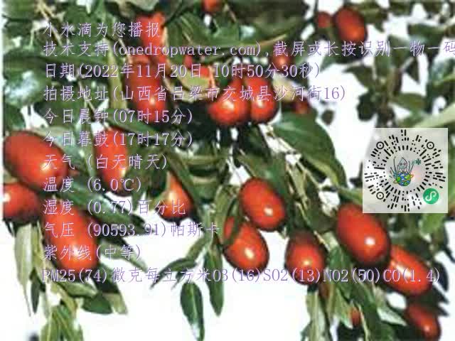 0.mp4