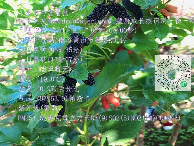 18053b670e2cd33b08f50659850fbd57.mp4