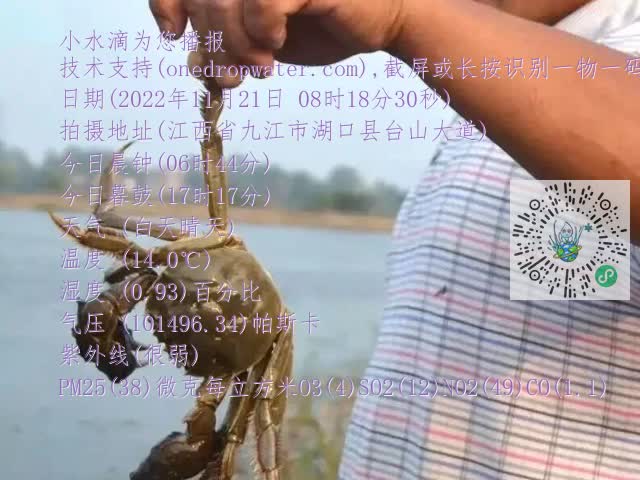 0.mp4