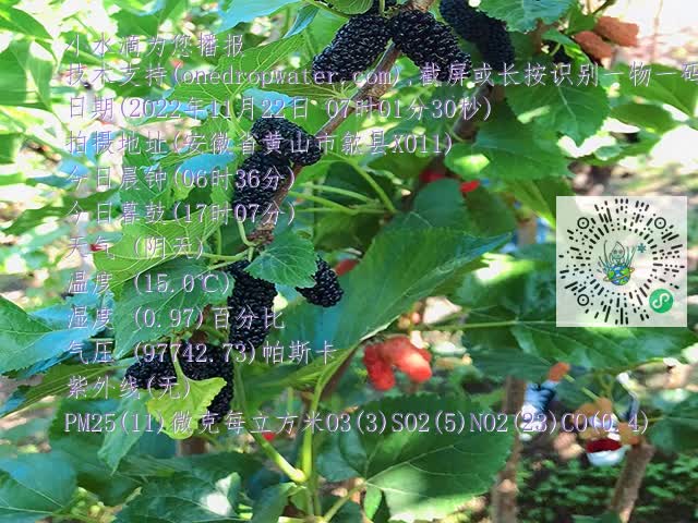 18053b670e2cd33b08f50659850fbd57.mp4