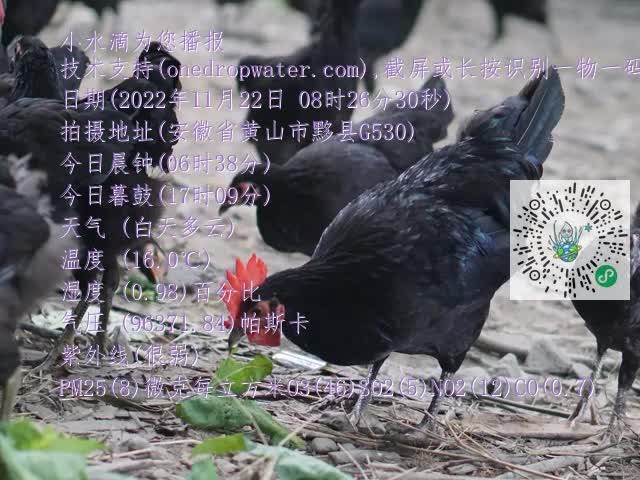0.mp4