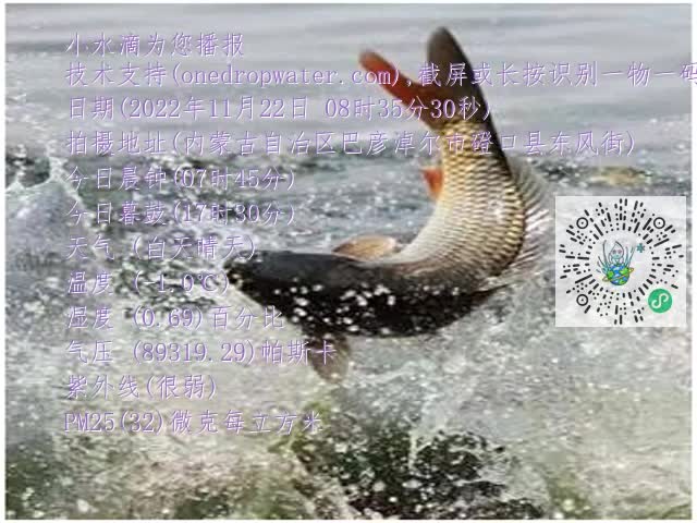 0.mp4