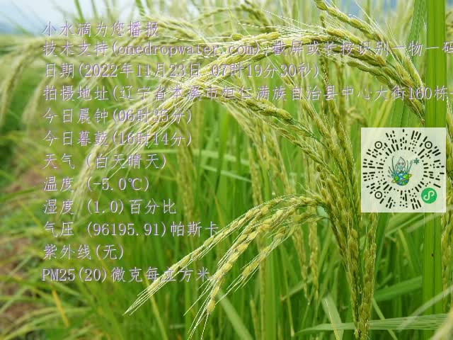 0.mp4