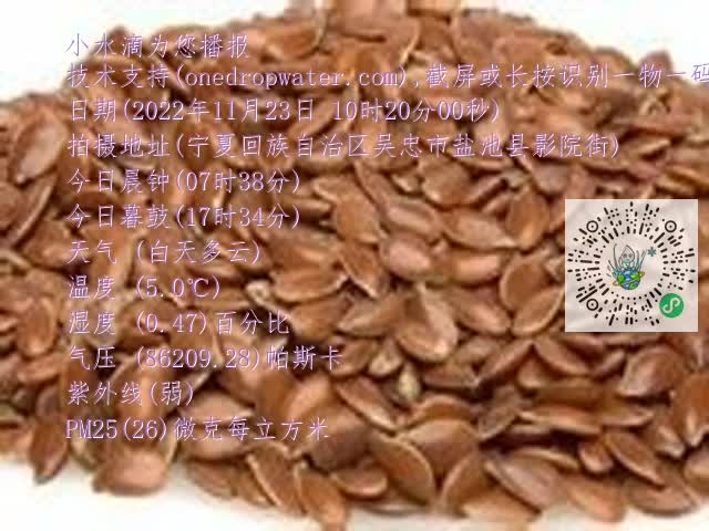 0.mp4