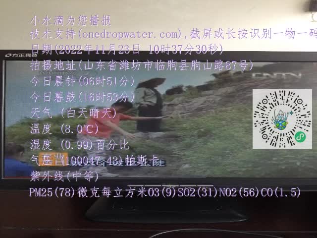 0.mp4
