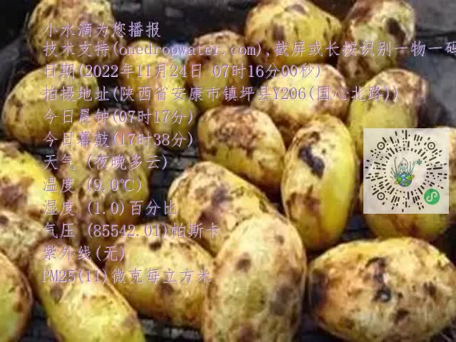 0.mp4
