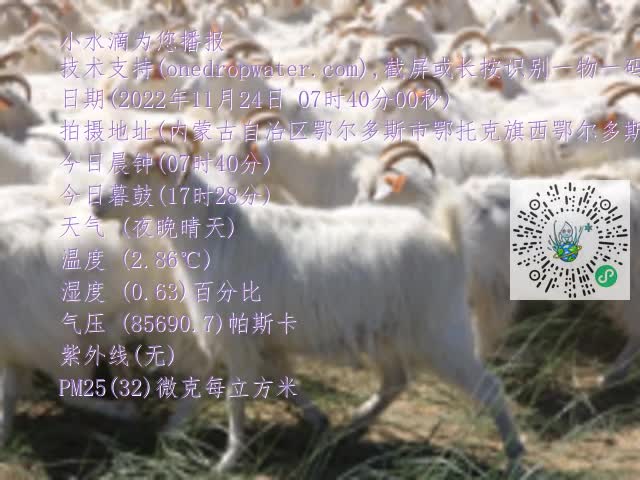 0.mp4