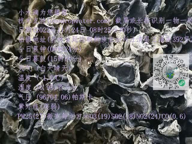 0.mp4