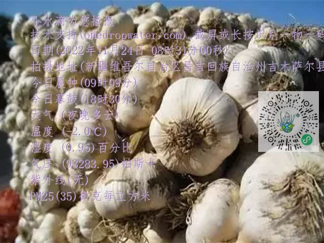 0.mp4