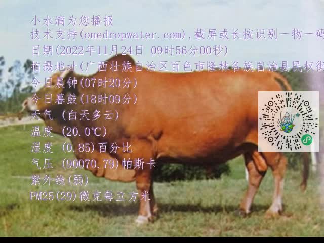 0.mp4