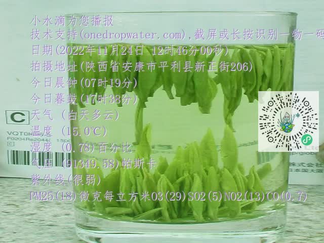 0.mp4