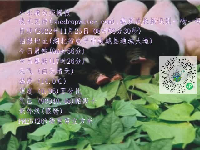 0.mp4