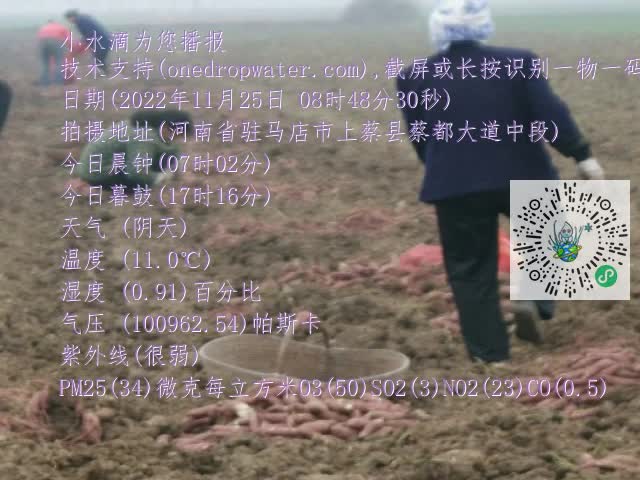 0.mp4