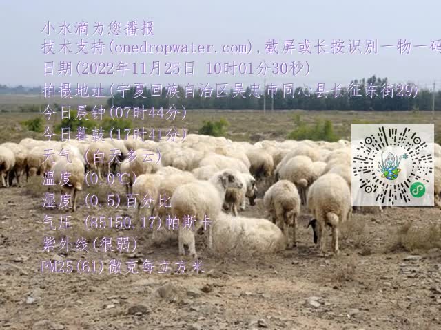 0.mp4