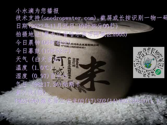 0.mp4