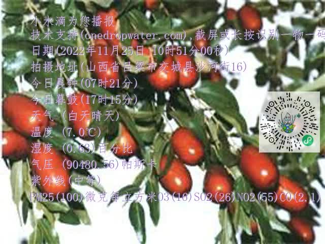 0.mp4