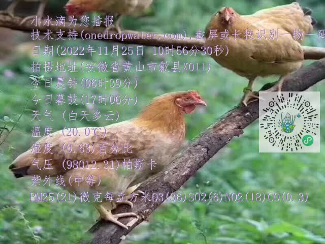 bc183d5cd9b8817688c971b5abad9dc1.mp4