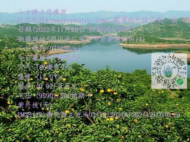 710dd9a2bbdcc7f599e8cf216ccee0a4.mp4