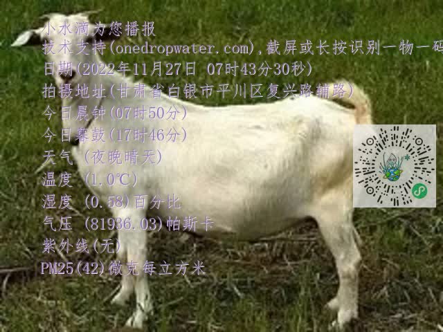 0.mp4