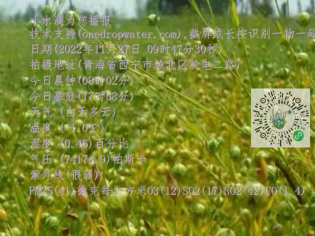 0.mp4